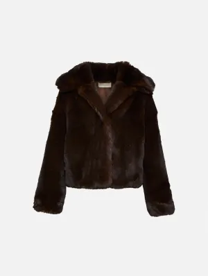 Daniel Coat