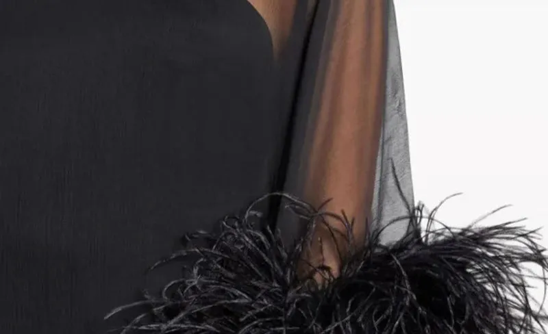Elegant Luxurious Feathers Dress